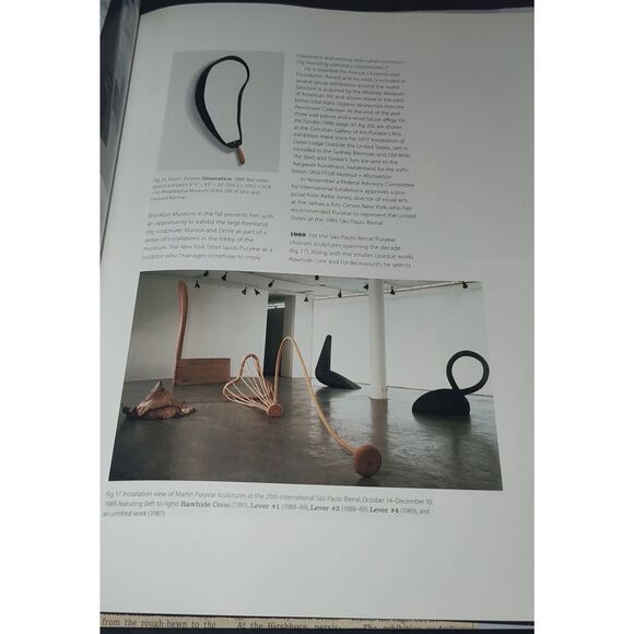 Martin Puryear by Elderfield 2007 HC/DJ Museum of Modern Art New York - Picture 11 of 14